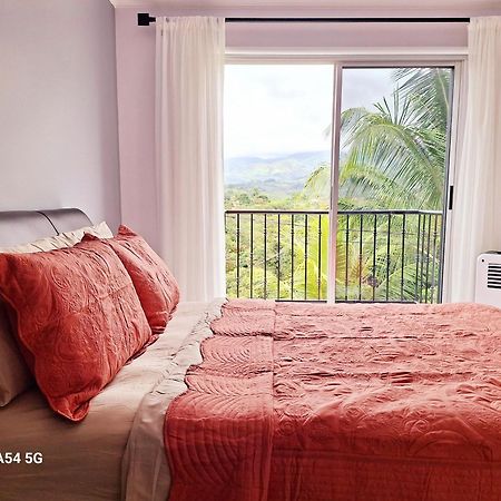 Хостел Victoria House San Isidro De El General Экстерьер фото
